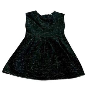 Shimmery Black Dress
